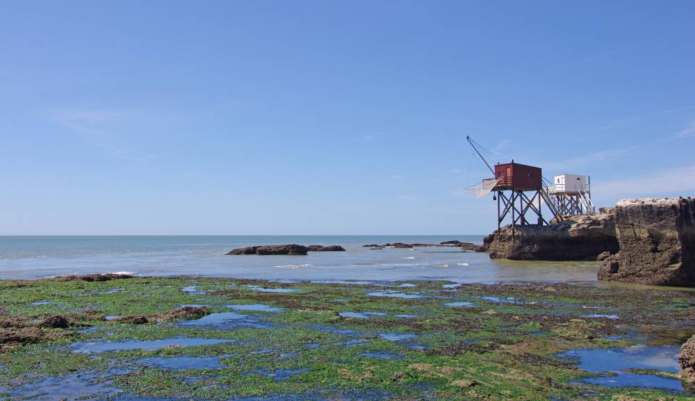 The Gironde estuary